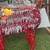NEW Christmas 6FT Red Twinkling Reindeer 12 thumbnail