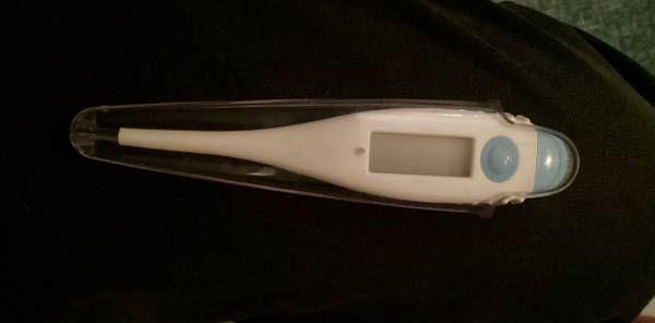 Digital Thermometer 1