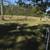 sheep 2 thumbnail
