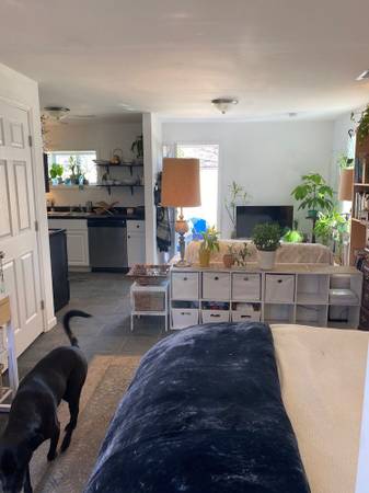 $350 / 580ft2 - LOvely, Spacious Studio(Fully Furnished) (Madison)64148843297538121