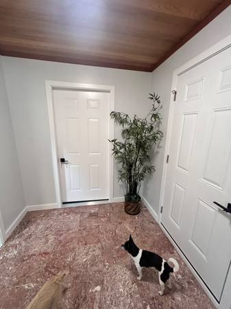 Newly Renovated 2 Bedroom Lower Suite in Langdale 2