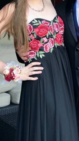 Ladies Dress 1