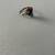 Assorted Jewelry 10 thumbnail