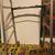 Walker $10, Shower Chair $10, Over Toilet Seat with Commode $10 4 thumbnail