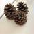Natural Large Pine Cones Set of 3 3 thumbnail
