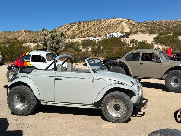baja bug 1