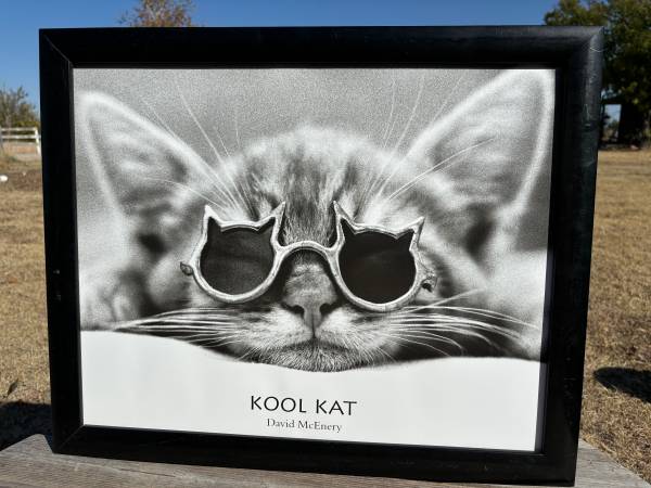 Vintage Cat Poster 1