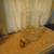 Vintage Glass 6 Gallon Carboy/Jar 9 thumbnail