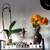 Assorted house plants, 5 thumbnail