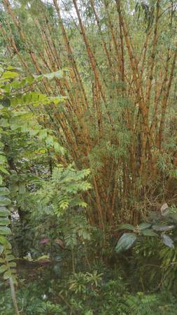 Aloha just moved here looking for landscaping gardening or farming work 1