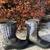 3 pairs Girl winter boots. (sizes 3T and 5) 2 thumbnail