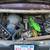 1975 Chevy nova 3 thumbnail