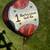 Byron Nelson Classic golf clubs 4 thumbnail