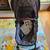 Garvee 2 in1 Baby Stroller - Gray 1 thumbnail