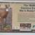Deer decoy 4 thumbnail