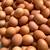 Laying Hens 4 thumbnail