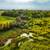 🏡 40 Acre Farmstead w/ 6BR Farmhouse, Barn & Outbuildings – Fosston, 14 thumbnail