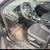 2014 Ford Focus 4 thumbnail