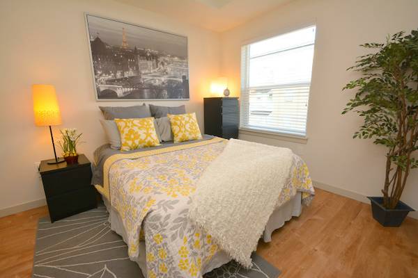 $1,495 / 1br - Amazing 1 Bed Available Soon at Piccadilly Flats! Call or Text Now! (SE Portland, SE Belmont, Buckman)63956353547523124