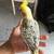 Hanfeed cockatiel 3 thumbnail