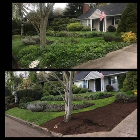 🌞🌱 💚ONE TIME CLEAN UP'S 🌱🌷🌱 ** FREE ESTIMATES 1