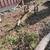 Log Splitter 2 thumbnail