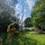 Affordable tree removal/fall clean ups/landscaping/snow removal 9 thumbnail