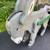 Old Handmade Rustic Folk Art Donkey With Cart - Wooden Planter 16 thumbnail