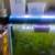 Guppy Grass Aquarium Plant 1 thumbnail