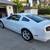 2014 Ford mustang GT 5.0 3 thumbnail