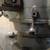 Milling Machine 20 thumbnail