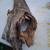 Taxidermy wood for mounts. Crafts, landscaping,  gardens 4 thumbnail