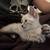 KITTEN 2 thumbnail