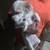 Puppy 3 thumbnail