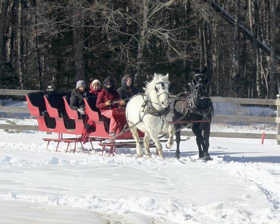 Horse-Drawn Sleigh Rides: Winter Fun for Families, Couples, Groups 1