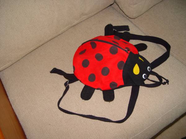 Ladybug backpack for Toddler - $15 (Herndon, VA)63471145653889123