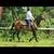Horseback Riding Lessons 24 thumbnail