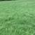 Hay Fertilized Coastal Premium Horse Hay Square Bales 6 thumbnail