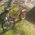 Tricycle antique/Rollfast d.p harris new york 2 thumbnail