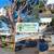 WEST HOLLYWOOD 🌳 Tree & Palm Service 🌴Trimming, Removal, Stump 🪵 2 thumbnail