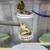 Canaries 1 thumbnail