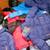 Winter Jackets 6 thumbnail