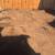 Landscaping 4 thumbnail