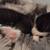 Two little adorable cuties 9 thumbnail