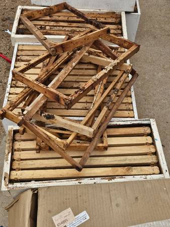 Bee supplies 1
