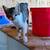 Manx Kittens 3 thumbnail
