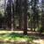 1/2 acre 9 thumbnail