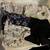 19 PIECES TODDLER BOY CLOTHING SPRING / SUMMER - 3T 2 thumbnail