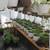 Greenhouse 1 thumbnail