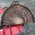 FANNED OUT TURKEY FEATHERS 3 thumbnail